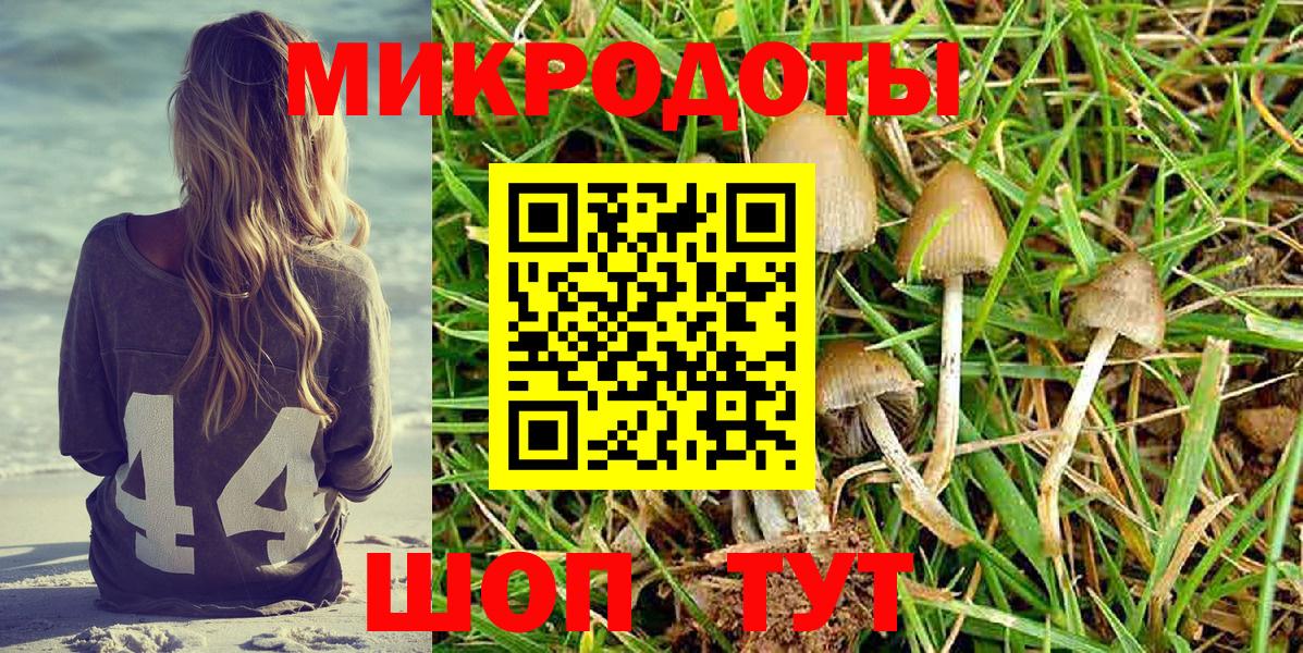 Уфа  Псилоцибиновые грибы Psilocybe  Вход с VPN  Галлюциногенные грибы Psilocybe 